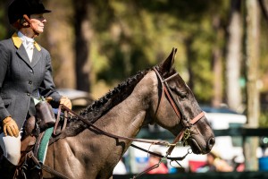 Aiken Steeplechase 4760